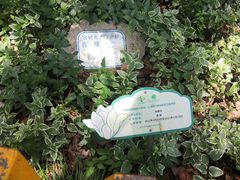 -徐家汇源景区-衡山公园