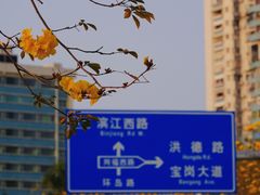 -洲头咀公园
