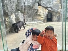 -南昌动物园