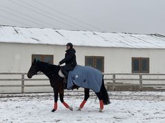 -北京群众马术培训基地