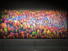 -罗红摄影艺术馆