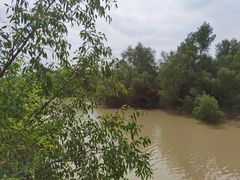-崖口红树林海鲜餐厅