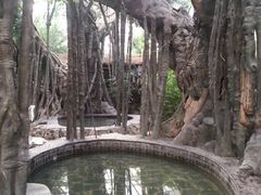 android_upload_pic-龙达温泉生态城