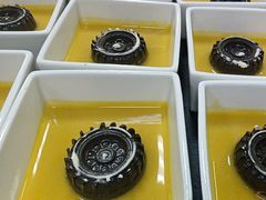 -彩丰楼·中餐厅(国家会展中心上海洲际店)