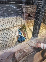 -酷嗒动物文化乐园(cutezoo西溪乐天城店)