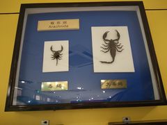 -上海昆虫博物馆