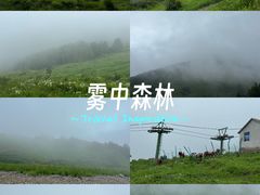 -灵山