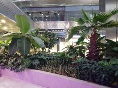 -北国商城