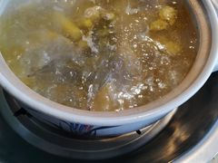 泉水鲜鸡汤-先机泉水鸡汤(南山老君洞店)