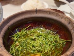 -天辣(金桥啦啦宝都店)