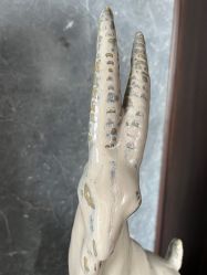 -铂诗玥医美