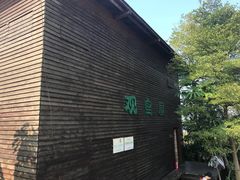 -大湾区中央湿地公园