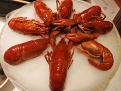 -红盔甲·小龙虾(天钥桥店)