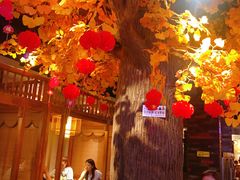 -蓉城老妈火锅(双林路店)