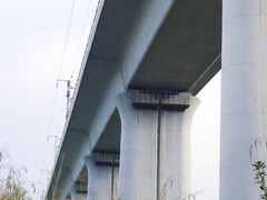 -白鹭湾湿地公园