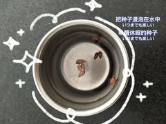 -徐州乐园加勒比水世界