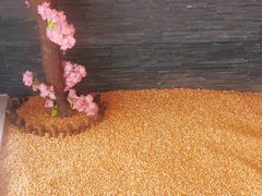 -臻牛烤肉