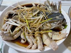 -煲来饱去冷水鱼
