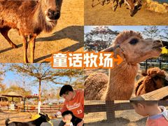 -盈香心动乐园