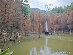-广州市帽峰山景区