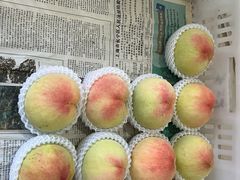 -南汇水蜜桃采摘(大团店)