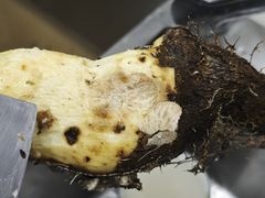 -杨国福麻辣烫(联合大学店)