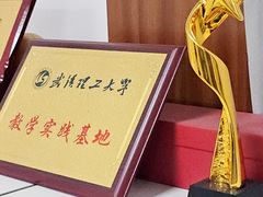 -红瓜子 影视后期 摄影摄像设计 新媒体运营技能培训(宝安校区)