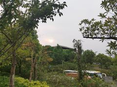 门面-太湖饭店玉兰厅(自助餐厅)