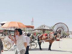 -包头古城文化旅游区