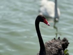 -南大港湿地风景区