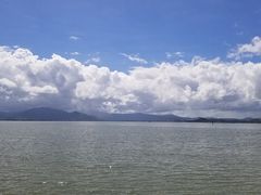 -深圳湾公园(南山区)