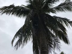 -三亚夏威夷大酒店