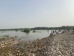 -绿堤公园