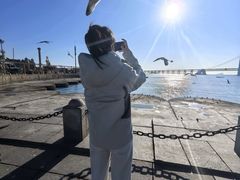 -星海湾跨海大桥