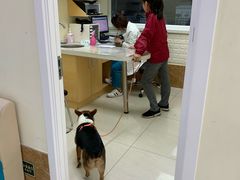 -美联众合动物医院·24h京西诊疗中心