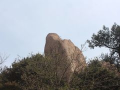 -鲁山国家森林公园