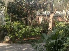 -西安国际创新人才交流中心•药浴温泉