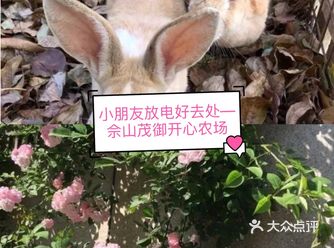 小朋友放电好去处—佘山茂御开心农场