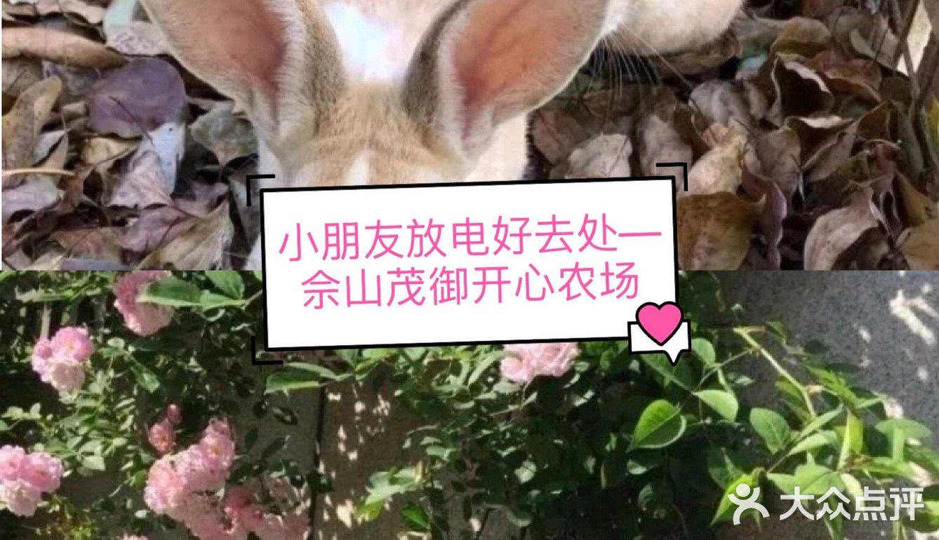 小朋友放电好去处—佘山茂御开心农场
