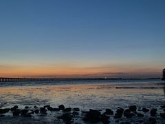 -宝安西湾红树林湿地公园