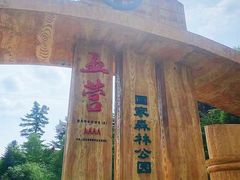 -五营国家森林公园