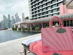 -新加坡文华东方酒店