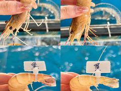 -SHRIMP CLUB万东餐饮钓虾·清吧