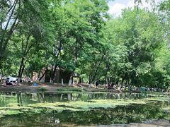 -长白岛森林公园