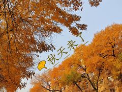 -中山路(地铁站)