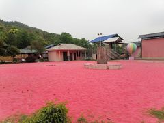 -石燕湖生态旅游景区