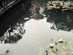 -碧江金楼