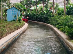 -南宫五洲植物乐园