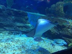 -多彩贵州城极地海洋世界