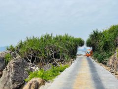 -三亚蜈支洲岛旅游区